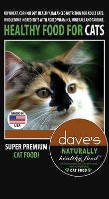 Daves Pet Food Naturally Healthy Dry Food for Adult Cats 20 lb